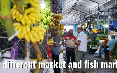 different market and fish market impressions, Male, Maldives 25.02.2024