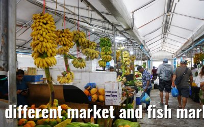 different market and fish market impressions, Male, Maldives 25.02.2024