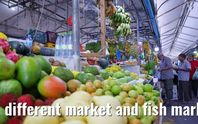different market and fish market impressions, Male, Maldives 25.02.2024