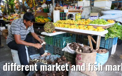 different market and fish market impressions, Male, Maldives 25.02.2024