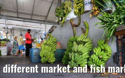 different market and fish market impressions, Male, Maldives 25.02.2024