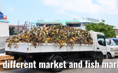 different market and fish market impressions, Male, Maldives 25.02.2024