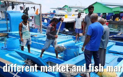 different market and fish market impressions, Male, Maldives 25.02.2024