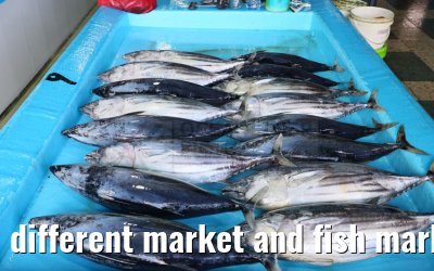 different market and fish market impressions, Male, Maldives 25.02.2024