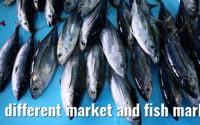 different market and fish market impressions, Male, Maldives 25.02.2024