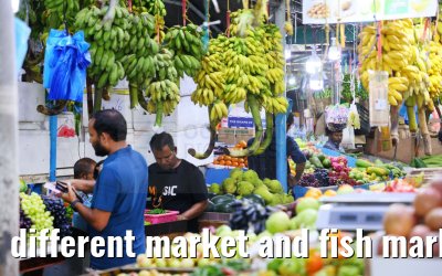 different market and fish market impressions, Male, Maldives 25.02.2024
