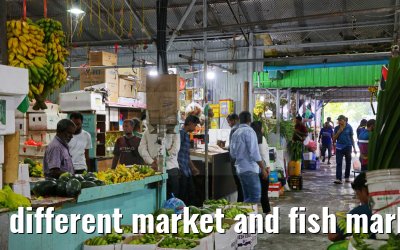 different market and fish market impressions, Male, Maldives 25.02.2024