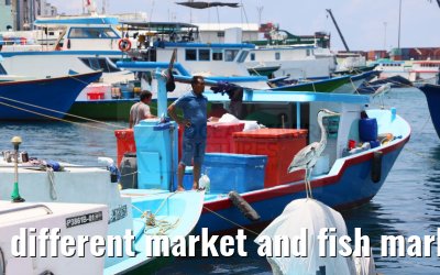 different market and fish market impressions, Male, Maldives 25.02.2024