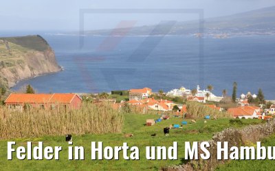 Felder in Horta und MS Hamburg 22.03.2022