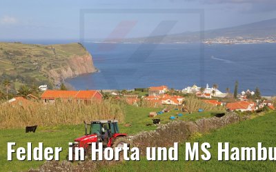 Felder in Horta und MS Hamburg 22.03.2022
