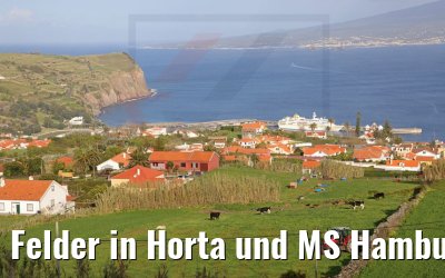Felder in Horta und MS Hamburg 22.03.2022