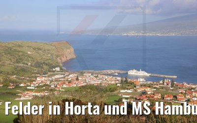 Felder in Horta und MS Hamburg 22.03.2022