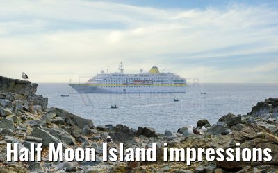 Half Moon Island impressions Antarctica 09.01.2023
