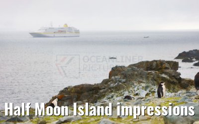 Half Moon Island impressions Antarctica 09.01.2023