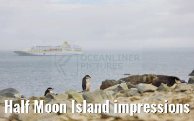Half Moon Island impressions Antarctica 09.01.2023