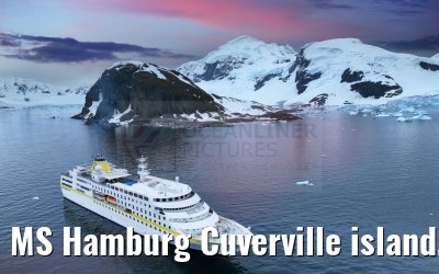 MS Hamburg Cuverville island, Antarctica 23.01.2023