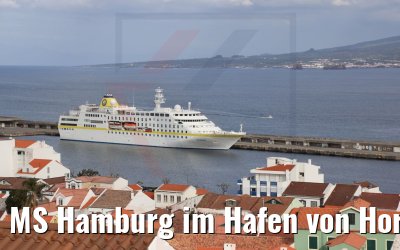 MS Hamburg im Hafen von Horta, Faial 23.03.2022