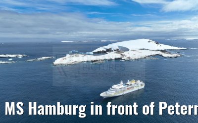 MS Hamburg in front of Peterman Island 25.01.2023