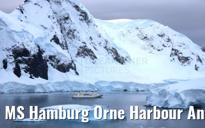 MS Hamburg Orne Harbour Antarctica 22.01.2023