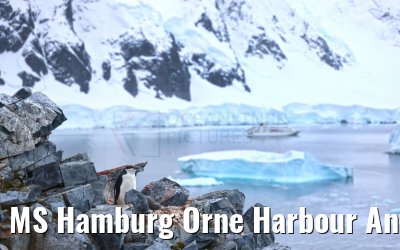 MS Hamburg Orne Harbour Antarctica 22.01.2023