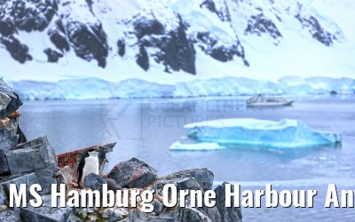 MS Hamburg Orne Harbour Antarctica 22.01.2023