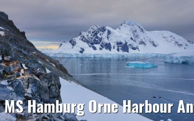 MS Hamburg Orne Harbour Antarctica 22.01.2023