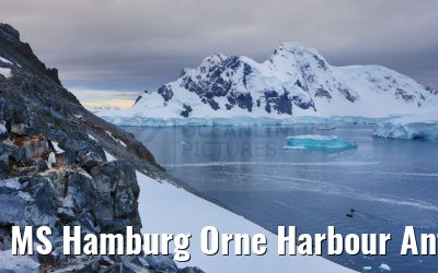 MS Hamburg Orne Harbour Antarctica 22.01.2023