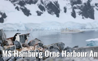 MS Hamburg Orne Harbour Antarctica 22.01.2023