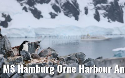 MS Hamburg Orne Harbour Antarctica 22.01.2023
