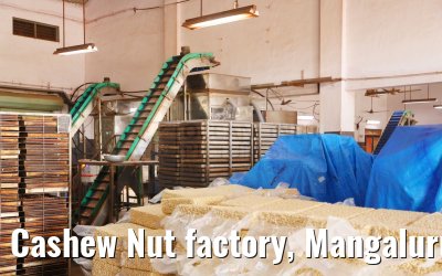 Cashew Nut factory, Mangaluru, India 02.03.2024