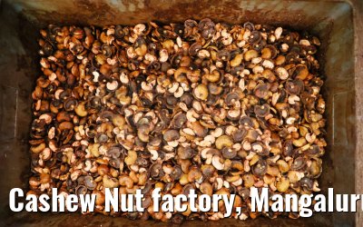 Cashew Nut factory, Mangaluru, India 02.03.2024