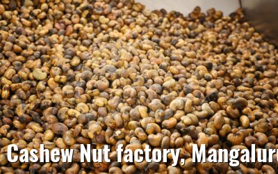 Cashew Nut factory, Mangaluru, India 02.03.2024