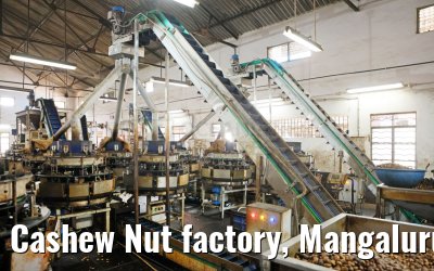 Cashew Nut factory, Mangaluru, India 02.03.2024