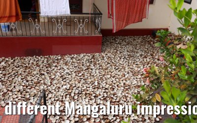 different Mangaluru impressions 02.03.2024