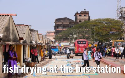 fish drying at the bus station Mangaluru 02.03.2024