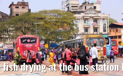fish drying at the bus station Mangaluru 02.03.2024
