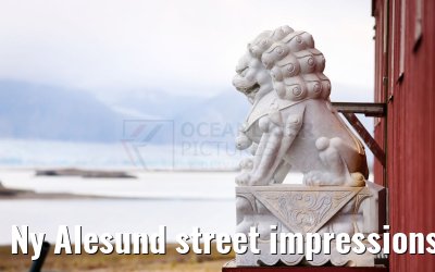 Ny Alesund street impressions 25.07.2024
