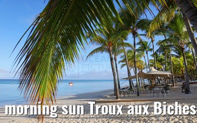 morning sun Troux aux Biches, Mauritius 12.02.2024