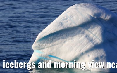 icebergs and morning view near Qeqertarsuaq, Greenland 06.08.2024