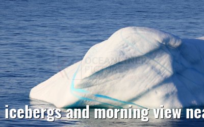 icebergs and morning view near Qeqertarsuaq, Greenland 06.08.2024