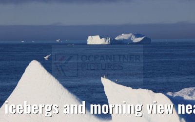icebergs and morning view near Qeqertarsuaq, Greenland 06.08.2024