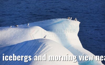 icebergs and morning view near Qeqertarsuaq, Greenland 06.08.2024