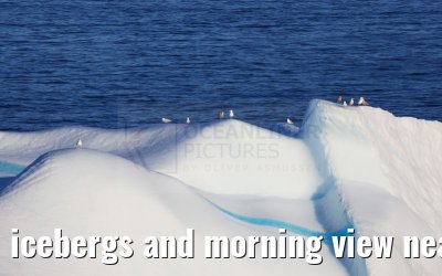 icebergs and morning view near Qeqertarsuaq, Greenland 06.08.2024