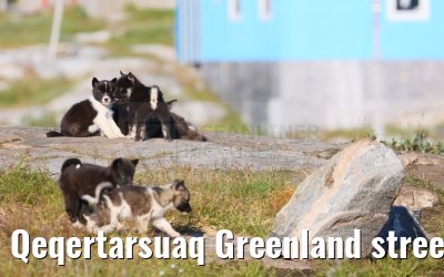 Qeqertarsuaq Greenland street and city impressions 06.08.2024