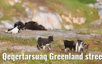 Qeqertarsuaq Greenland street and city impressions 06.08.2024