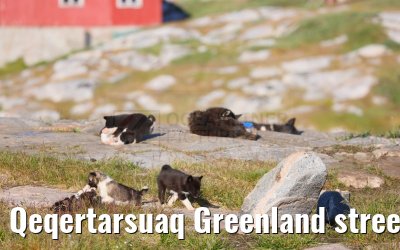 Qeqertarsuaq Greenland street and city impressions 06.08.2024