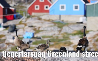 Qeqertarsuaq Greenland street and city impressions 06.08.2024