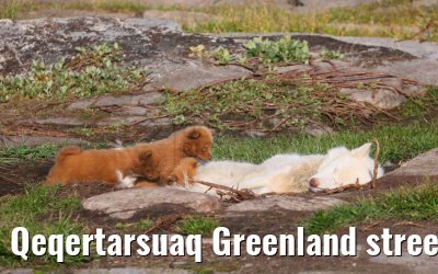 Qeqertarsuaq Greenland street and city impressions 06.08.2024