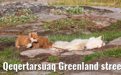 Qeqertarsuaq Greenland street and city impressions 06.08.2024