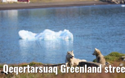 Qeqertarsuaq Greenland street and city impressions 06.08.2024
